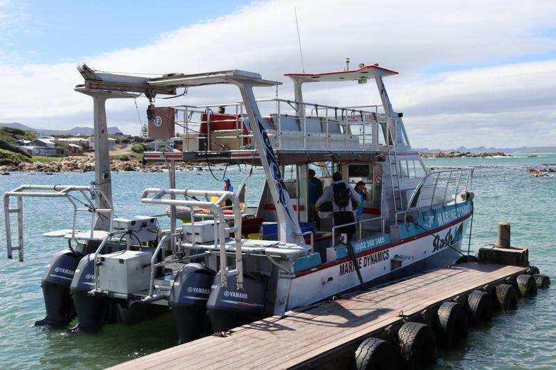 6 Bedroom Property for Sale in Kleinbaai Western Cape